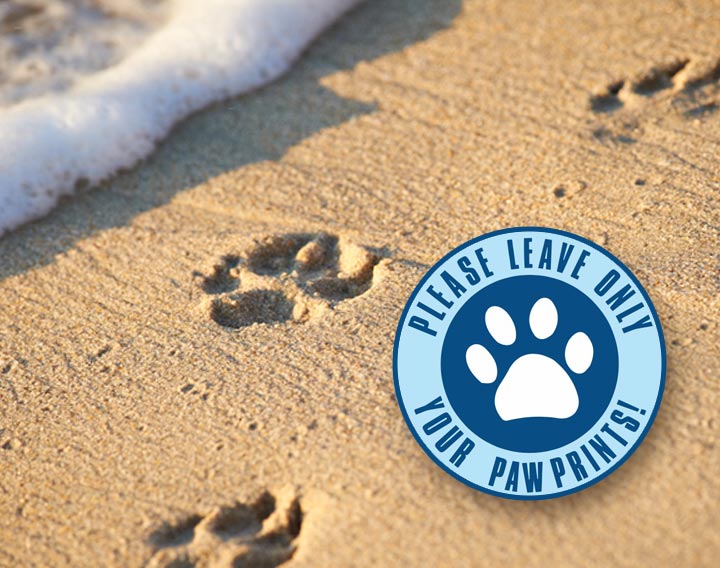 dog beach paw prints